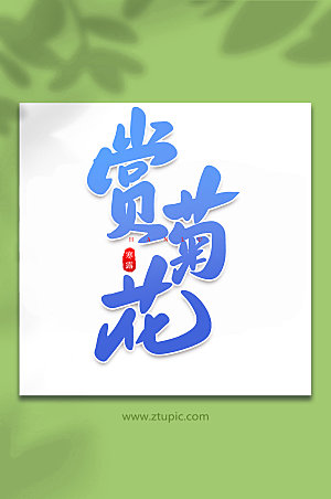 蓝色赏菊花原创传统节气艺术字体