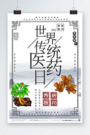 新中式世界传统医药日创意海报