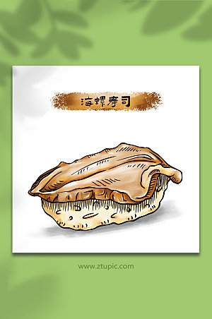 原创海螺寿司日料美食大气插画