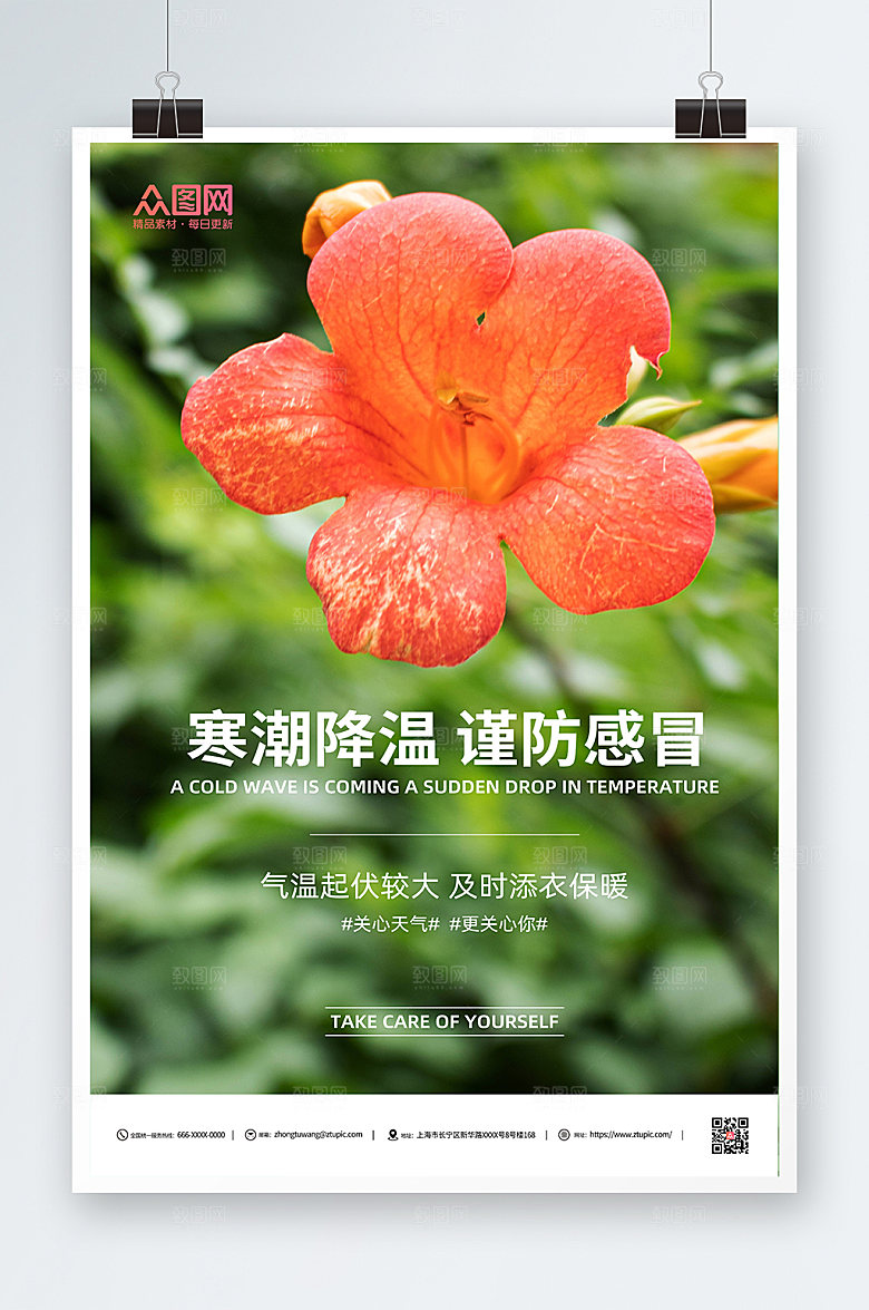 花朵秋季寒潮降温提示问候海报