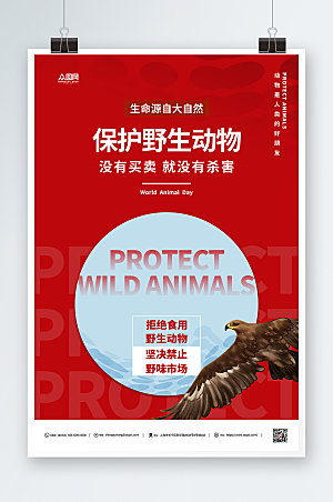 简洁大气禁止食用野生动物海报