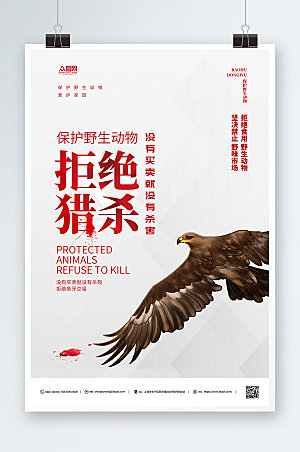 简洁拒绝猎杀野生动物环保海报
