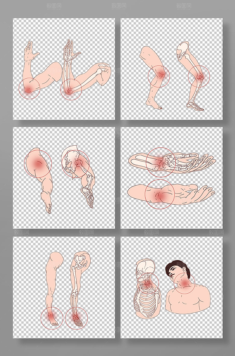 简洁医用骨骼医疗元素示意图插画