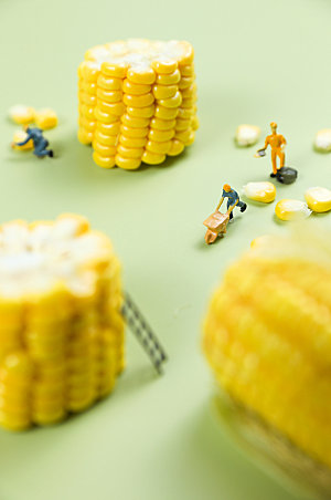 黄色微距小人玉米苞谷时尚摄影图片