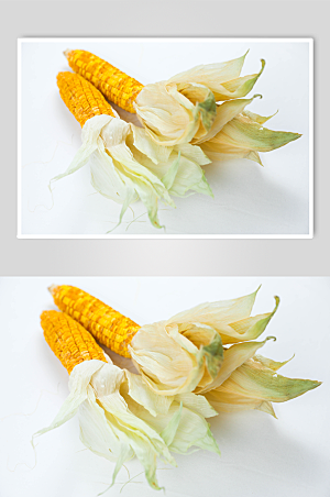 精美玉米营养五谷杂粮素材摄影图片