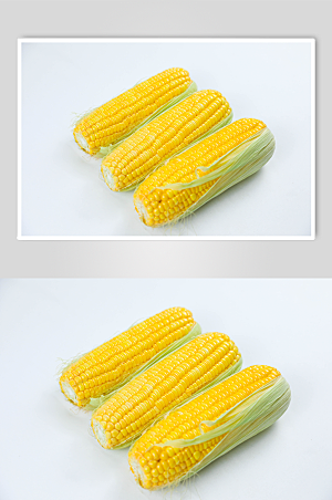 黄色玉米五谷杂粮美食摄影图片