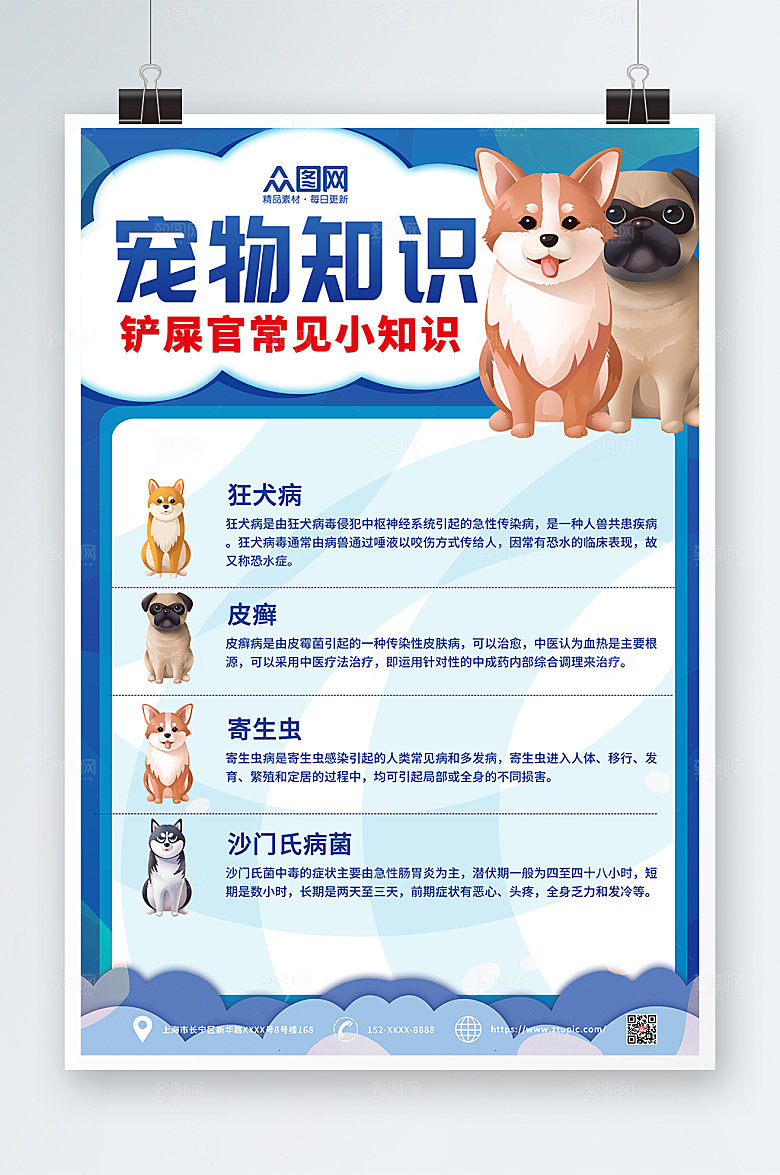 大气宠物疾病科普知识宣传海报