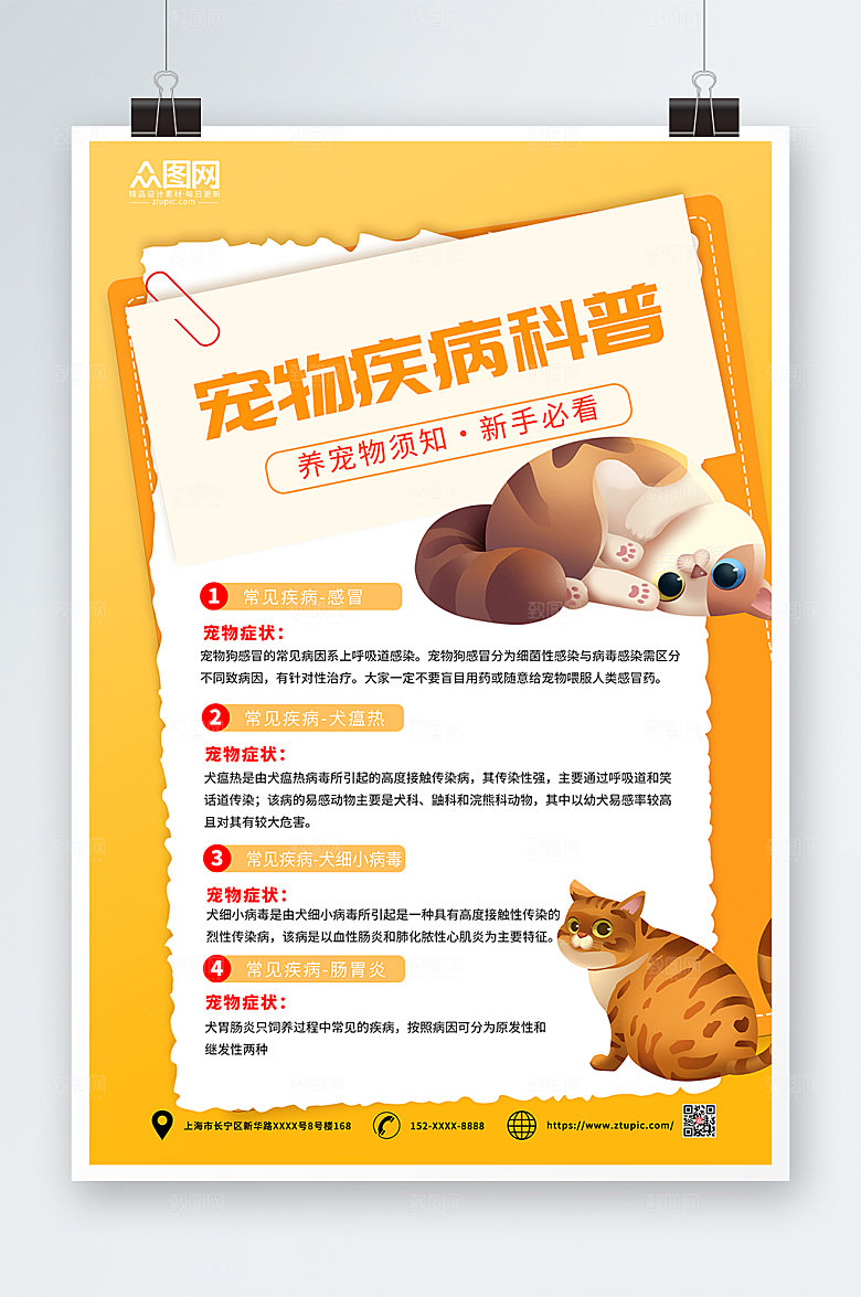 黄色宠物疾病科普宣传精美海报