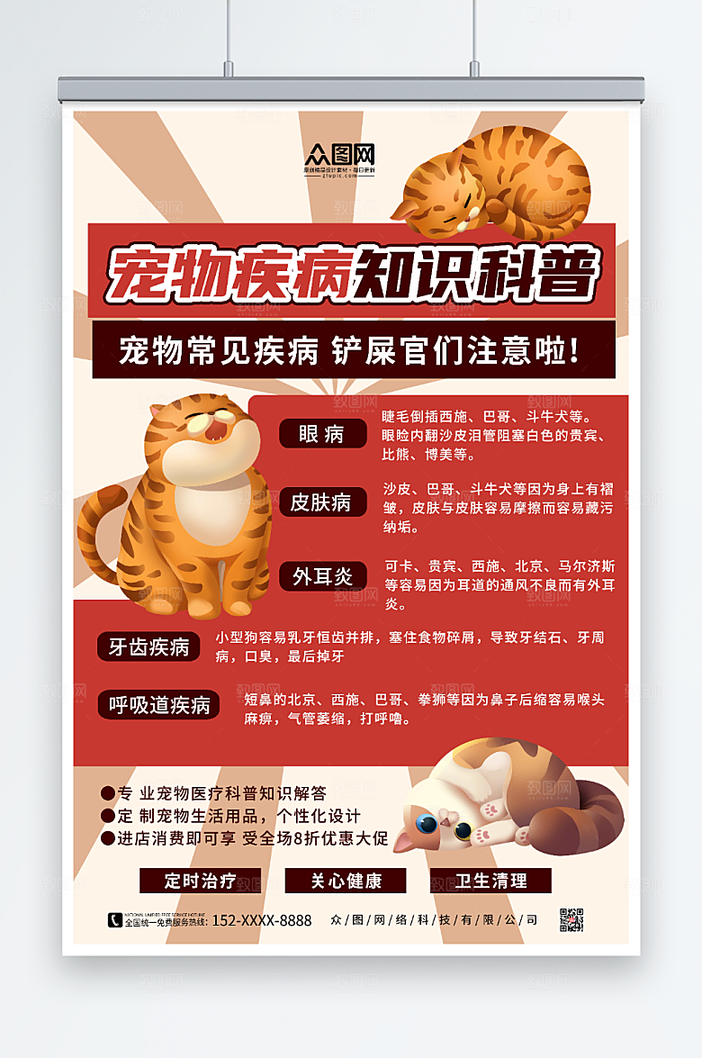 大气简约宠物疾病科普知识宣传海报