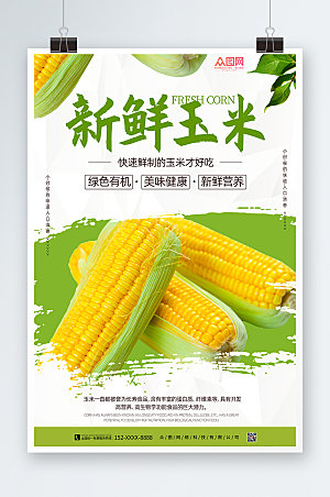 健康美味营养玉米促销活动海报