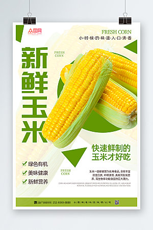 新鲜绿色营养玉米促销精美海报