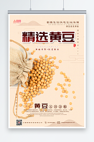 简洁五谷杂粮之精选黄豆宣传海报