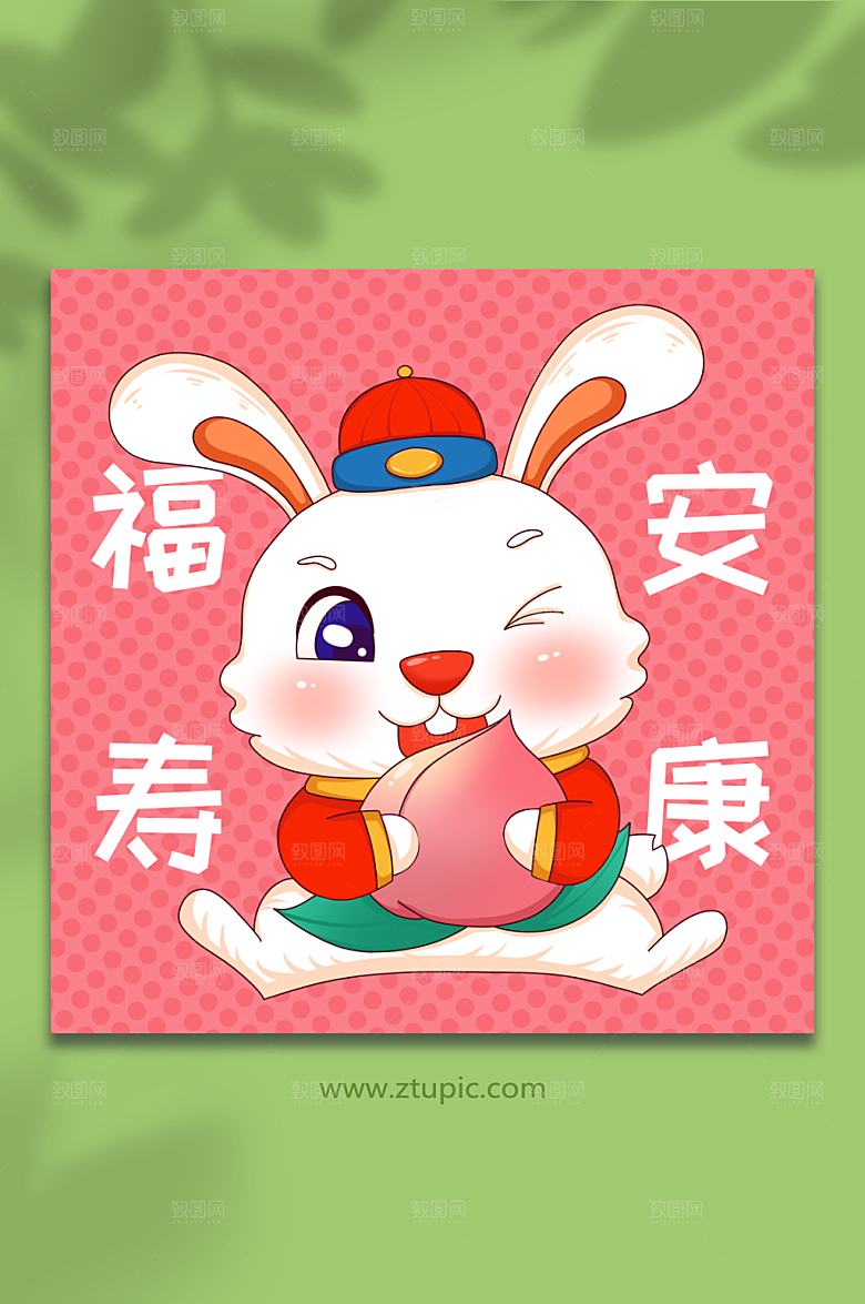 粉色福寿安康祝福兔年精美插画