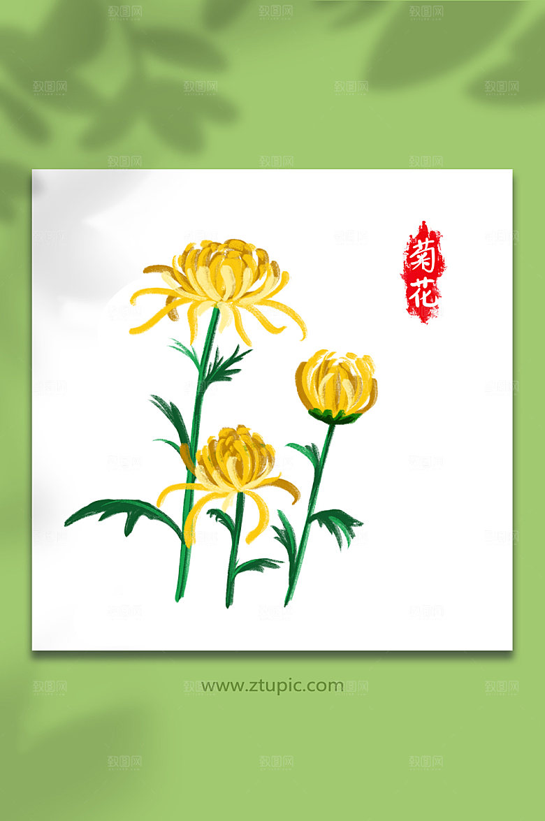 唯美手绘卡通菊花元素插画设计