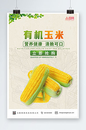 简洁有机健康玉米促销抢购海报