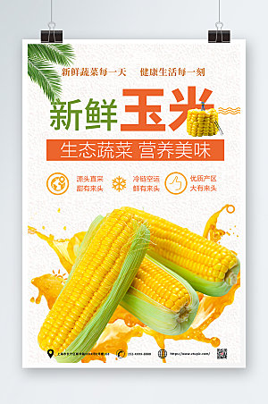黄色新鲜玉米促销创意海报