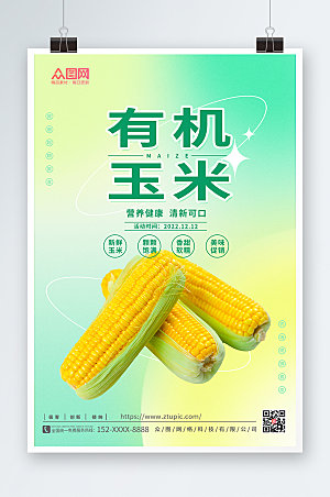 大气绿色时尚玉米促销精美海报