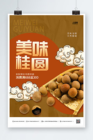 中式美味桂圆美食海报设计