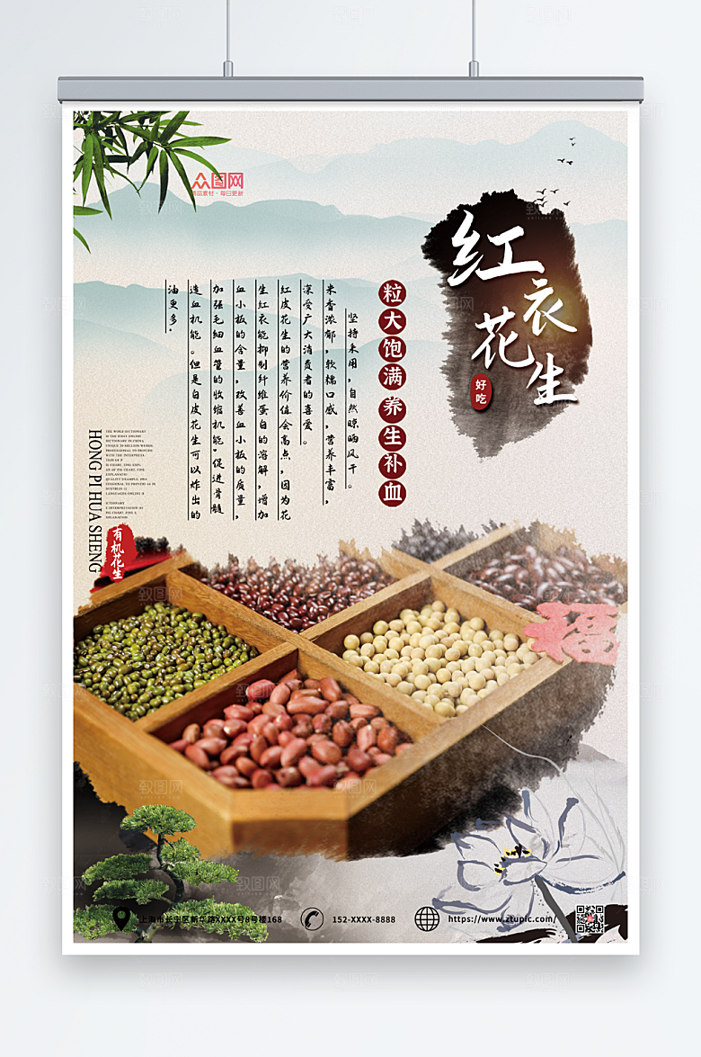 淡雅红皮花生海报模板