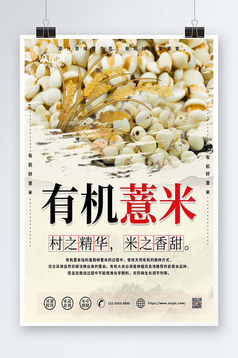 淡雅薏米宣传海报设计