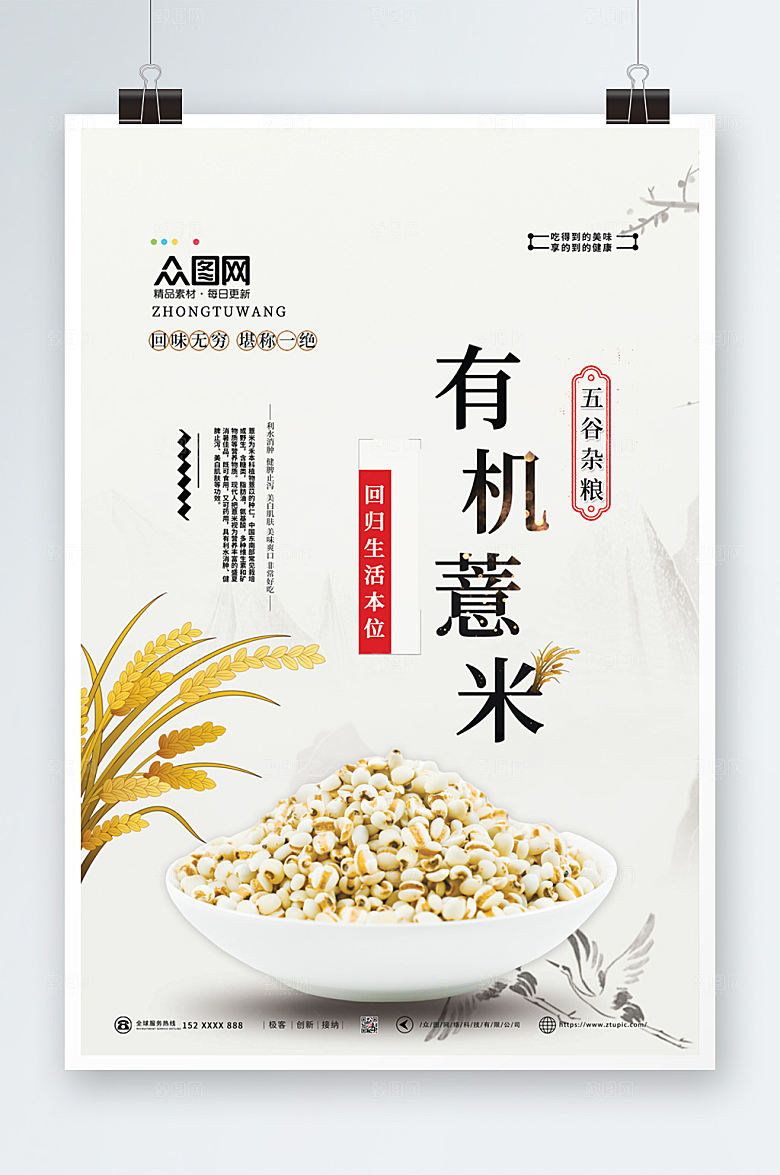 淡雅薏米宣传海报模板
