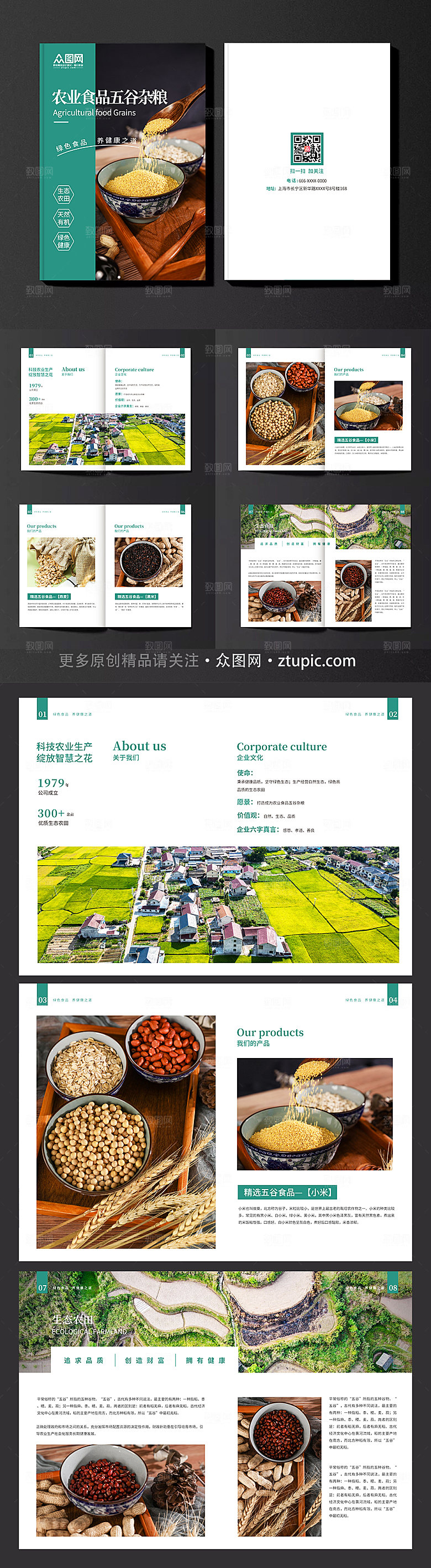 商务农业食品五谷杂粮画册设计