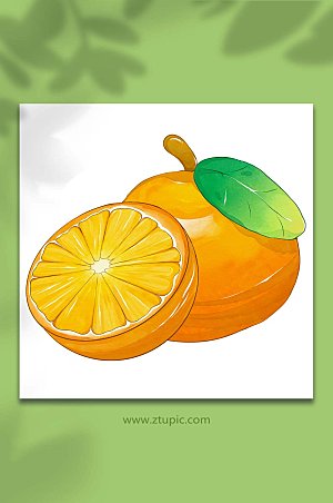橘子桔子冬季水果元素插画