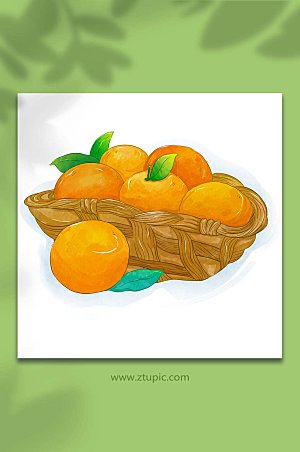 桔子冬季水果橘子元素插画