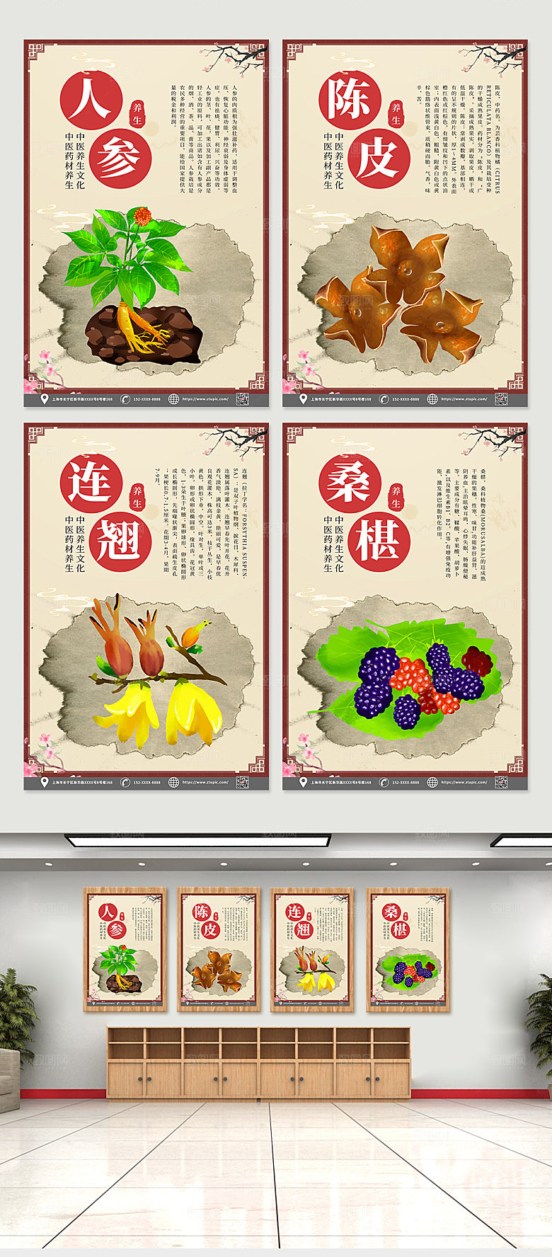 中医药材知识宣传四件套海报