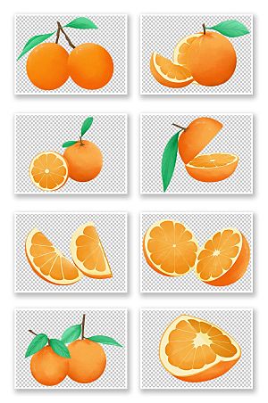 矢量冬季水果橘子元素插画