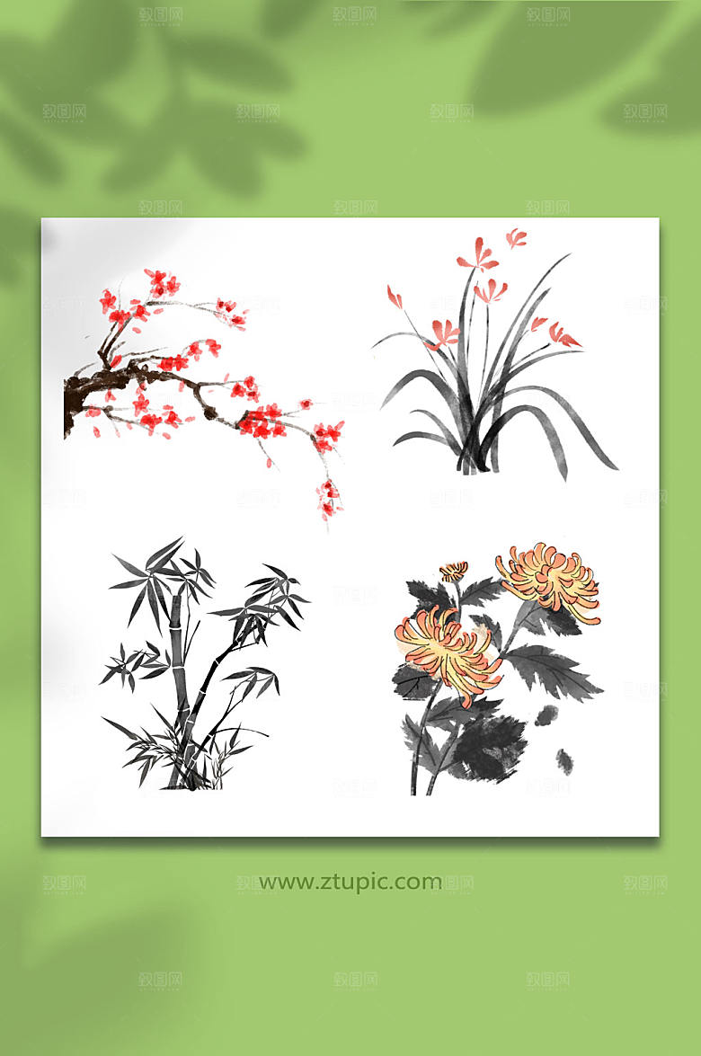 中国风梅兰竹菊元素插画