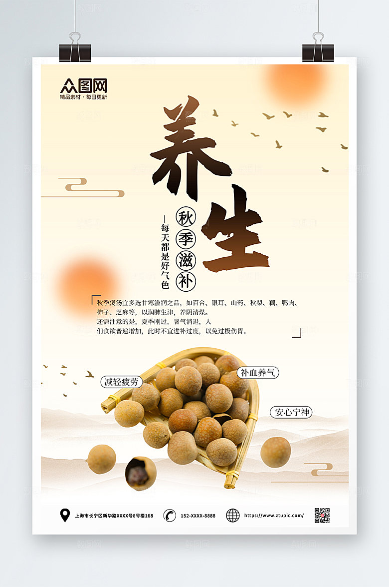 美味养生桂圆宣传海报