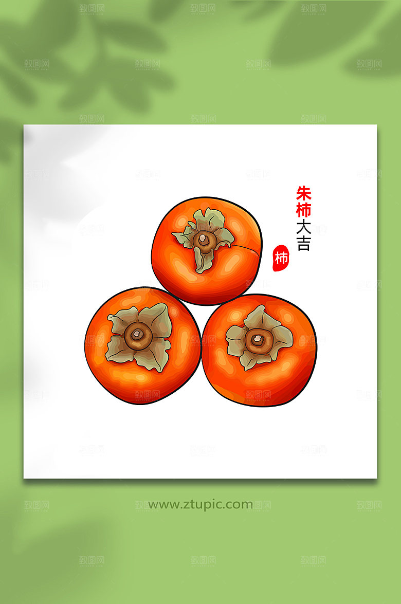 简约水果柿子手绘矢量插画