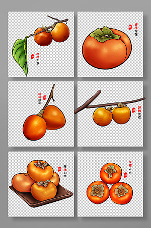 创意水果柿子手绘矢量插画
