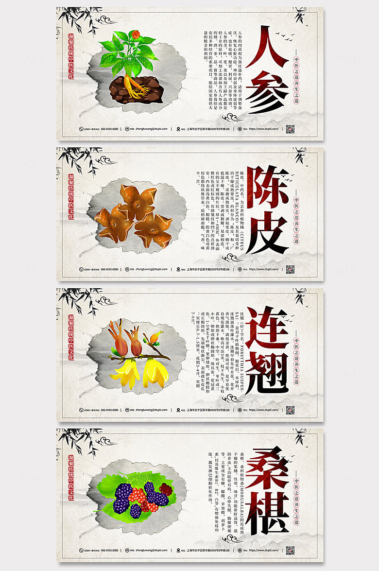 简约中医养生知识展板海报