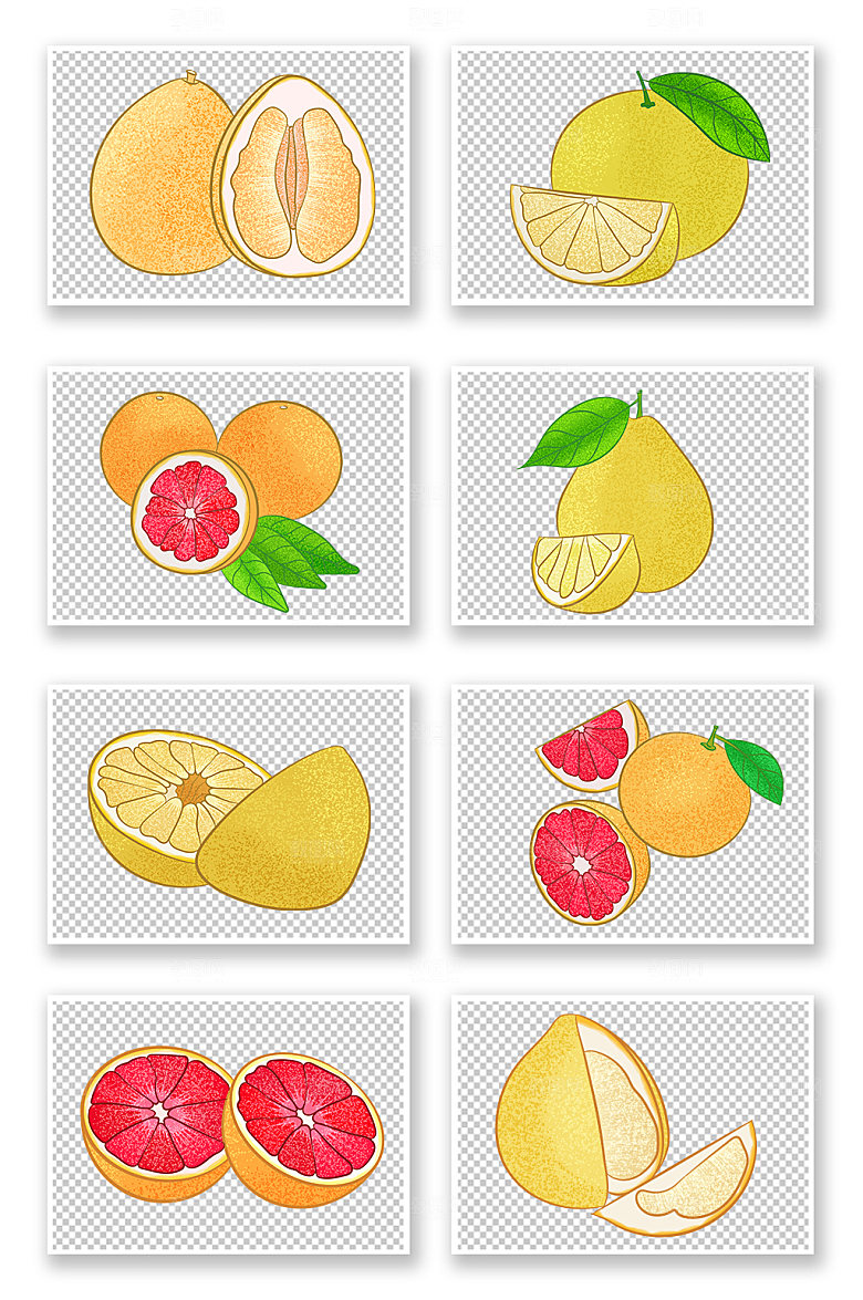 矢量冬季柚子水果插画元素