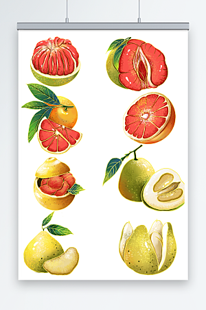 手绘冬季柚子水果元素插画