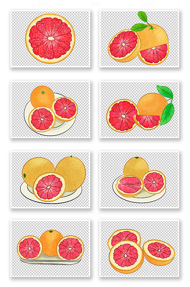 矢量冬季柚子水果插画元素