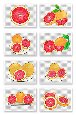 矢量冬季柚子水果插画元素