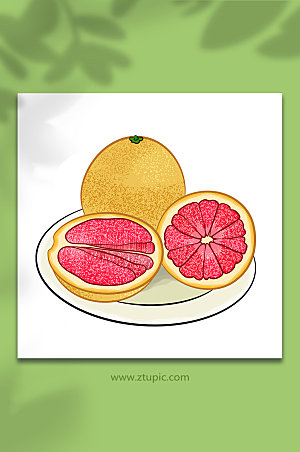 卡通冬季柚子水果元素插画
