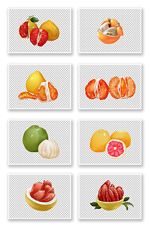 矢量冬季柚子水果元素插画