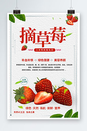 白色采摘新鲜草莓水果海报
