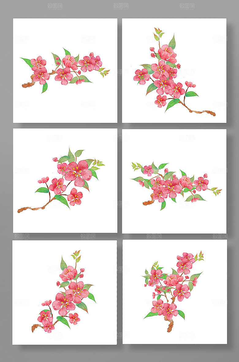 矢量手绘桃花樱花花卉元素插画