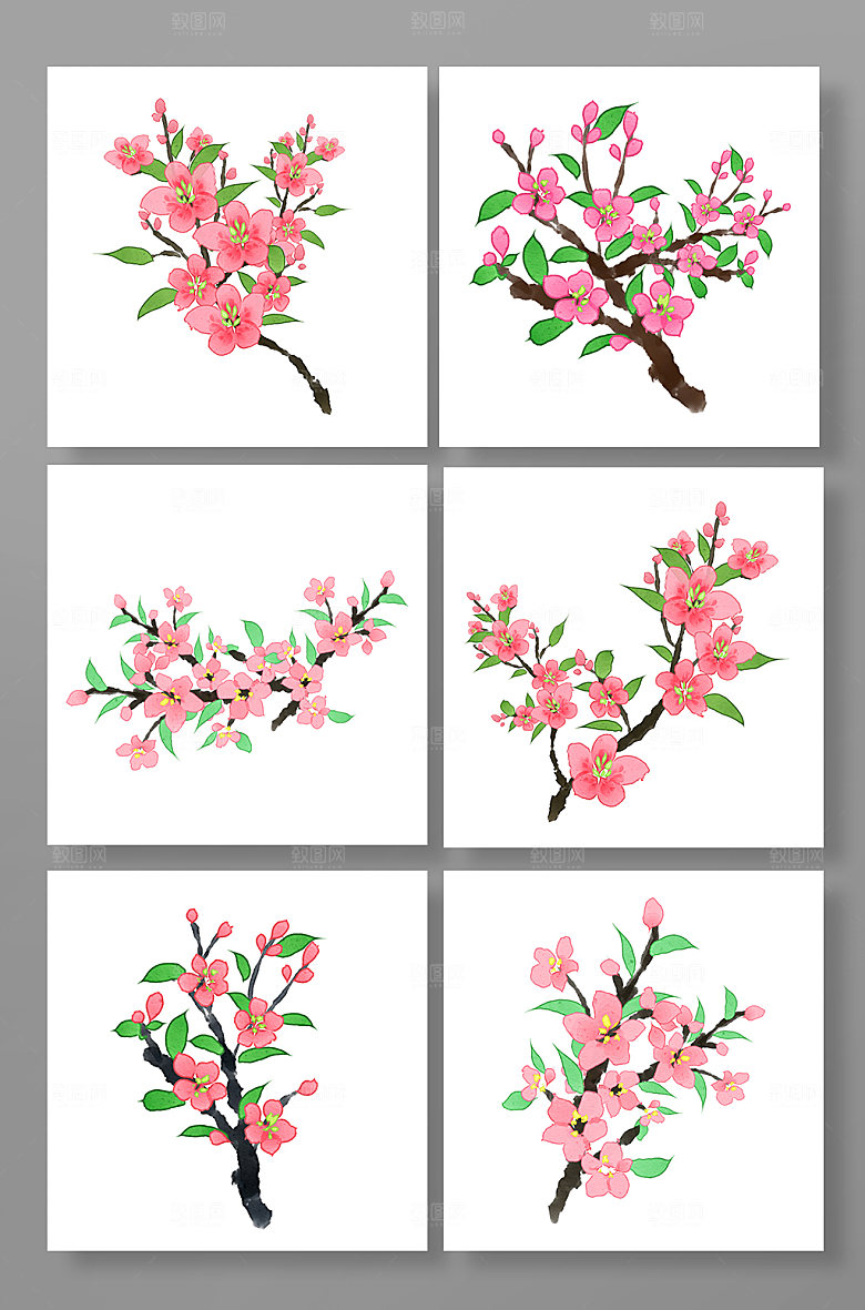 矢量桃花樱花花卉元素插画