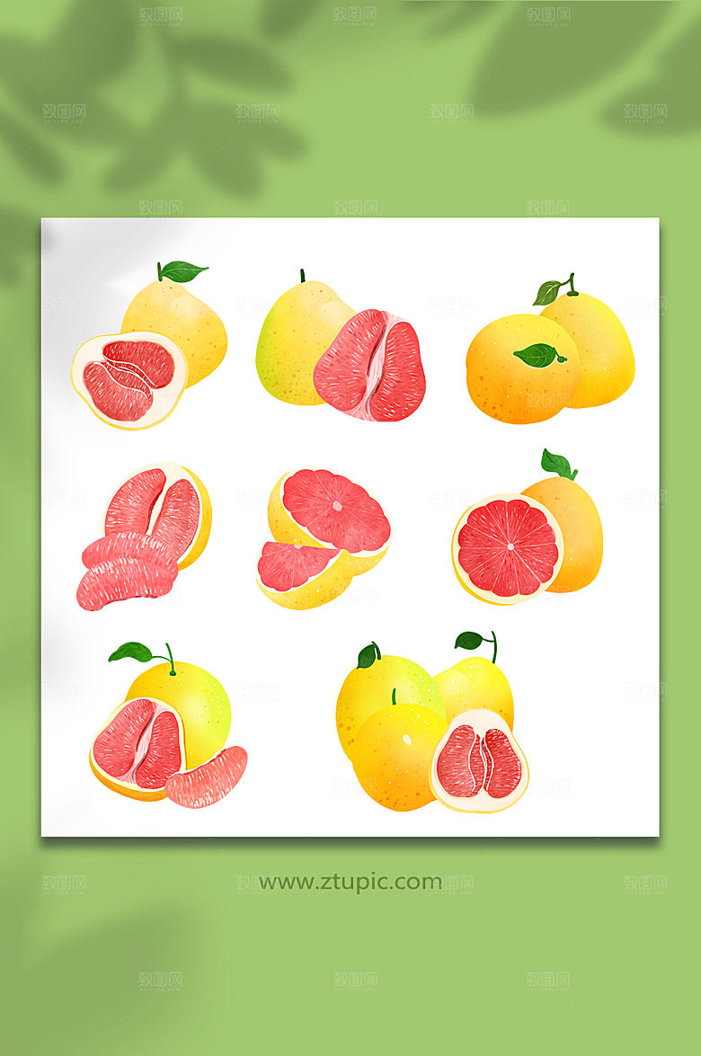 矢量冬季柚子水果元素插画