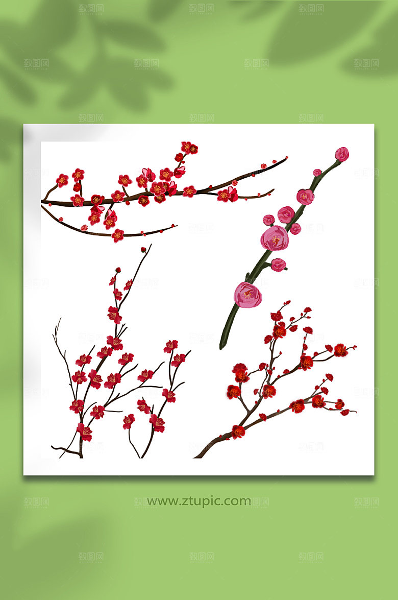 矢量冬季梅花花卉元素插画