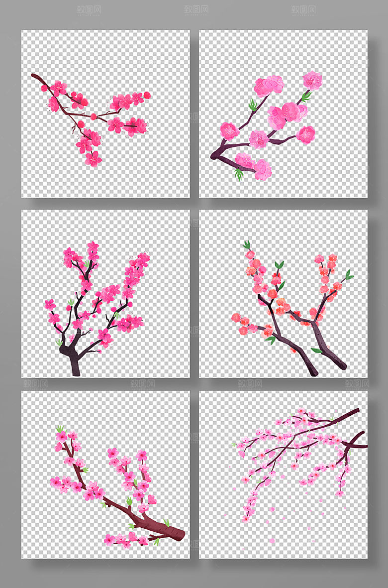 简约矢量春季花卉元素插画
