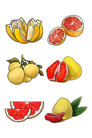 矢量各种柚子水果元素插画