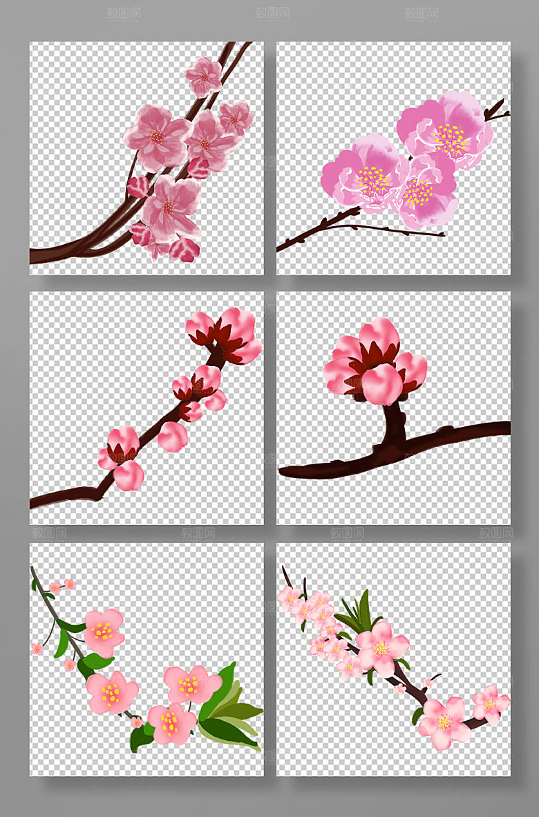 矢量桃花花卉手绘元素插画