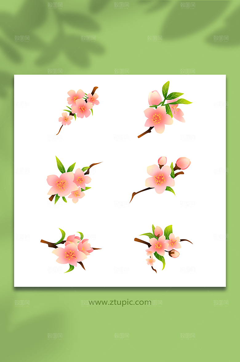粉色桃花樱花花卉元素插画